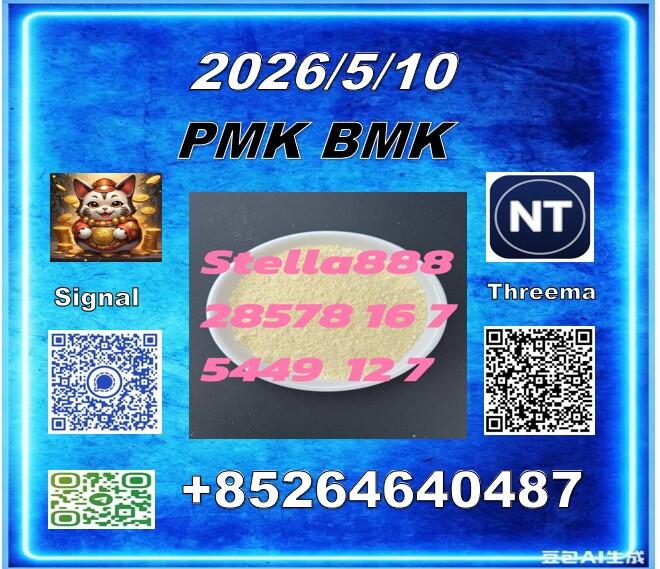 China supply cas 28578-16-7 Pm.k and cas 5449-12-7 BM-K/49851-31-2