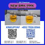 PM.K CAS 28578-16-7 | Dynamic Freight Processing