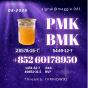 CAS 28578-16-7 New PMK BMK Strong logistics