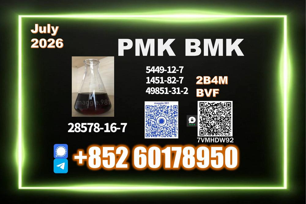 New PMK 28578-16-7 Consistent Delivery