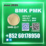 CAS 5449-12-7 BMK PMK 28578-16-7 Fast Processing - Раздел: Медицинские товары, фармацевтическая продукция