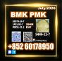 New BMK CAS 5449-12-7 PMK for bulk orders