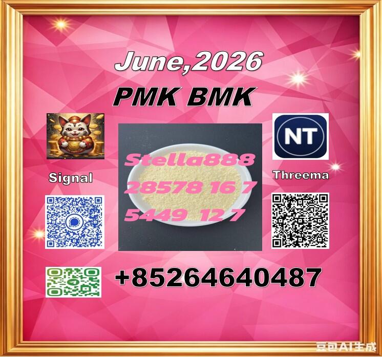 usd 280/kg new PMK CAS 28578-16-7