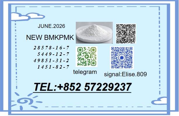 BMK 5449-12-7 with Premium Chemical Additives 28578-16-7 PMK