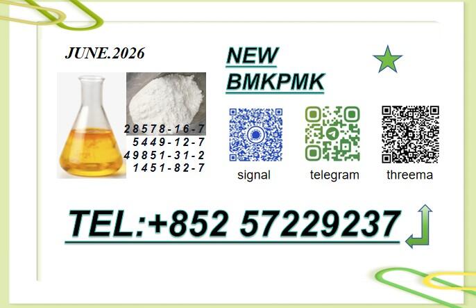 Original Manufacturer PM.K Oil CAS 28578-16-7 Using B.MK Powder 5449-12-7