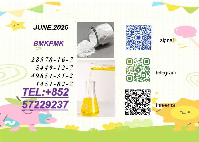 BMK 5449-12-7 PMK 28578-16-7 Popular products