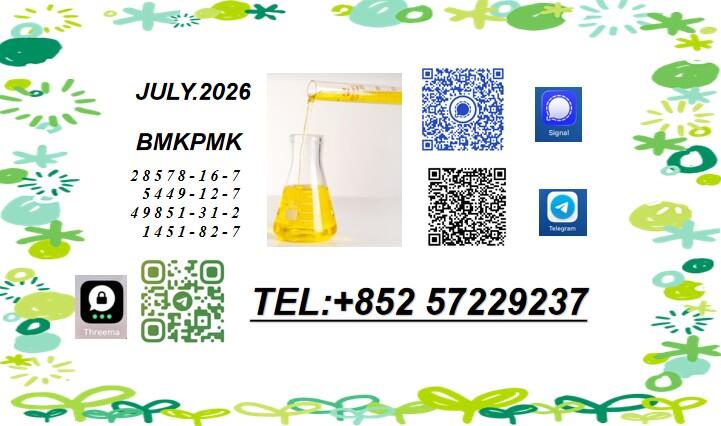 PMK CAS 28578-16-7 PMK Ethyl Glycidate Stable Supplier CAS 5449-12-7