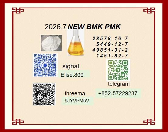 PMK 28578-16-7 BMK 5449-12-7 Custom Solutions and Tailored Service