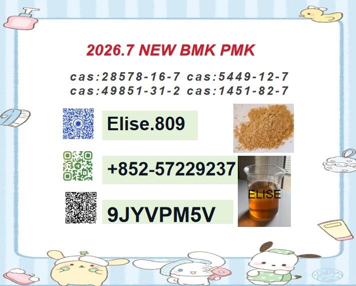 28578-16-7 PMK Competitive Price NEW 5449-12-7 BMK Consistent Quality Premium