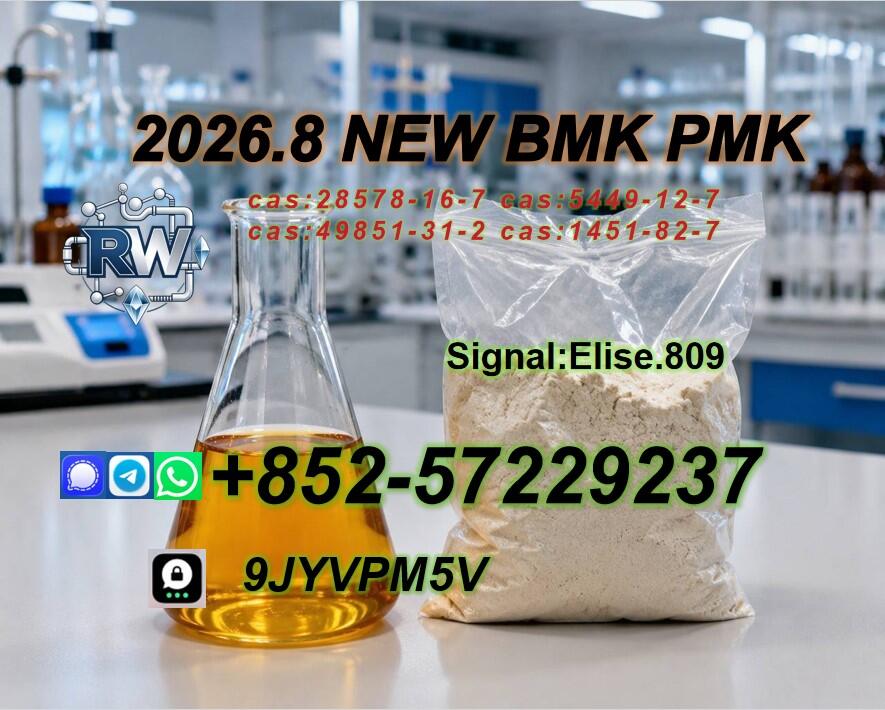 PMK Oil Powder CAS 28578-16-7 | Reliable Global Chemical Supply & Logistics