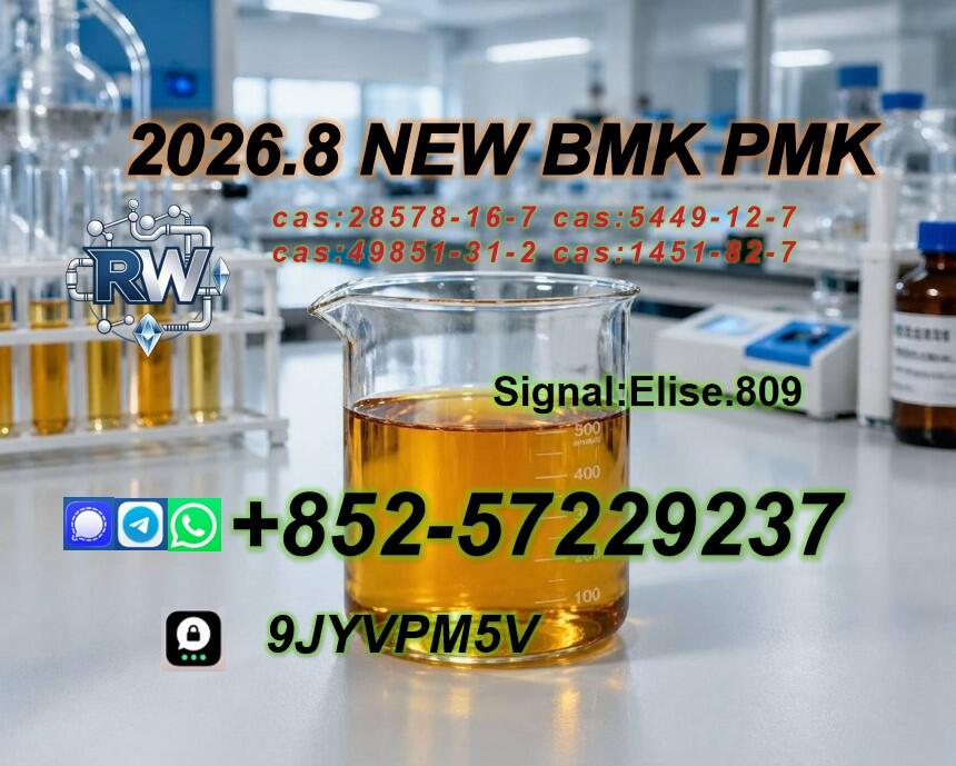 PMK Oil Powder CAS 28578-16-7 | International Market Supply Solutions