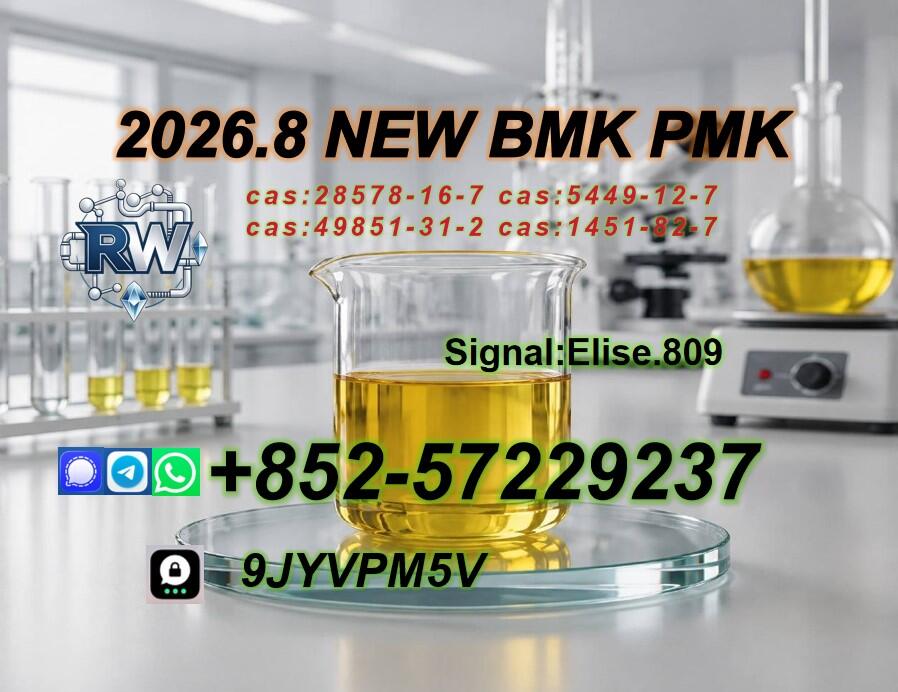 PMK Oil Powder CAS 28578-16-7 | Professional Chemical Trading Service