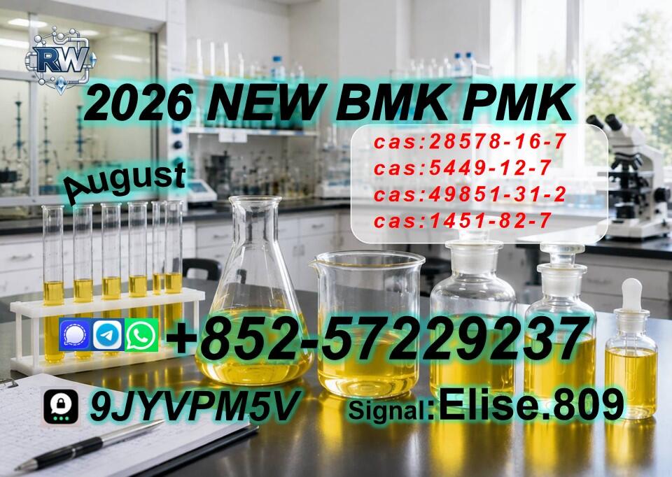 Buy PM.K CA.S:28578-16-7/ BM.K 5449-12-7/ low-budget chemical sourcing options