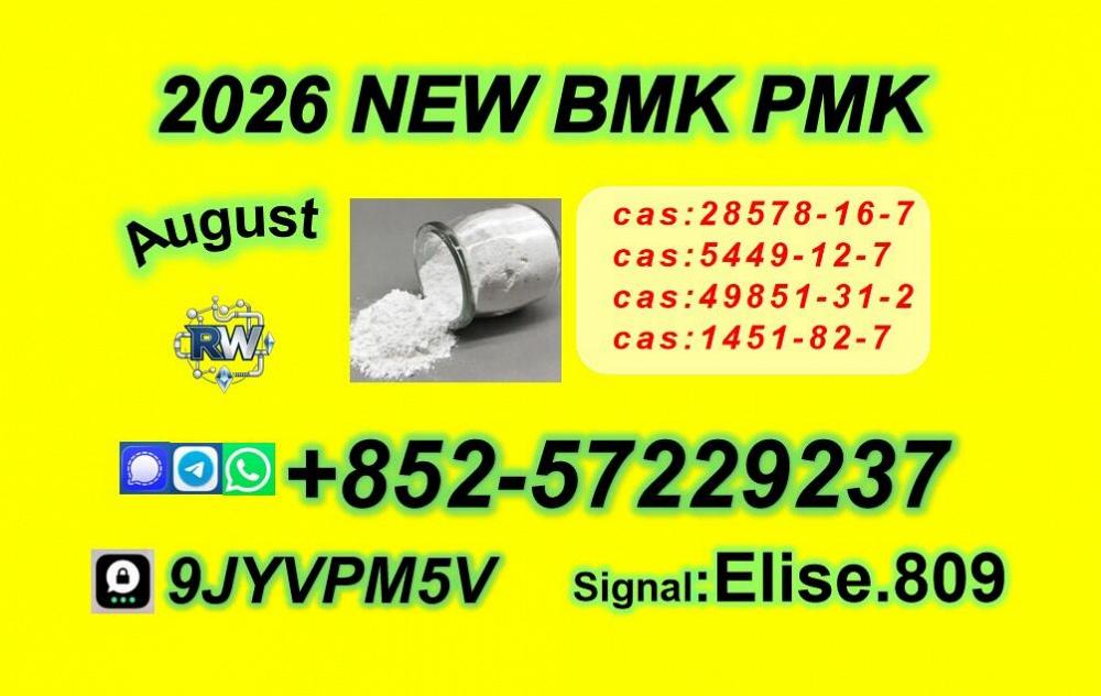 Direct communication PM-K Oil CAS 28578-16-7/ High Purity