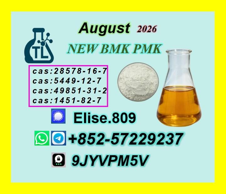 Factory Sales CAS 28578-16-7 New PM.K B.MK Extraction rate up to 75%
