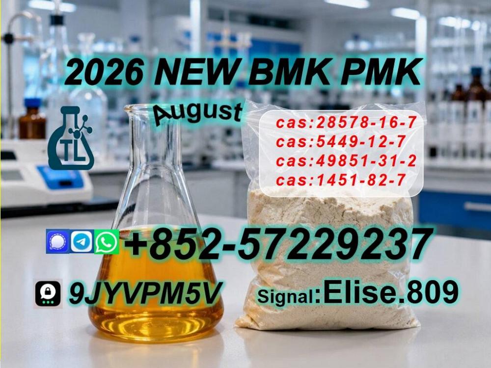 BM.K 5449-12-7 High Purity 28578-16-7 P.MK
