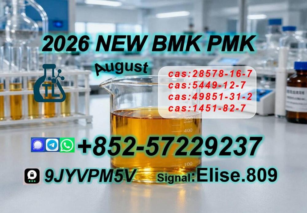 C.AS 28578-16-7 P.MK Ethyl Glycidate Stable Supplier 5449-12-7