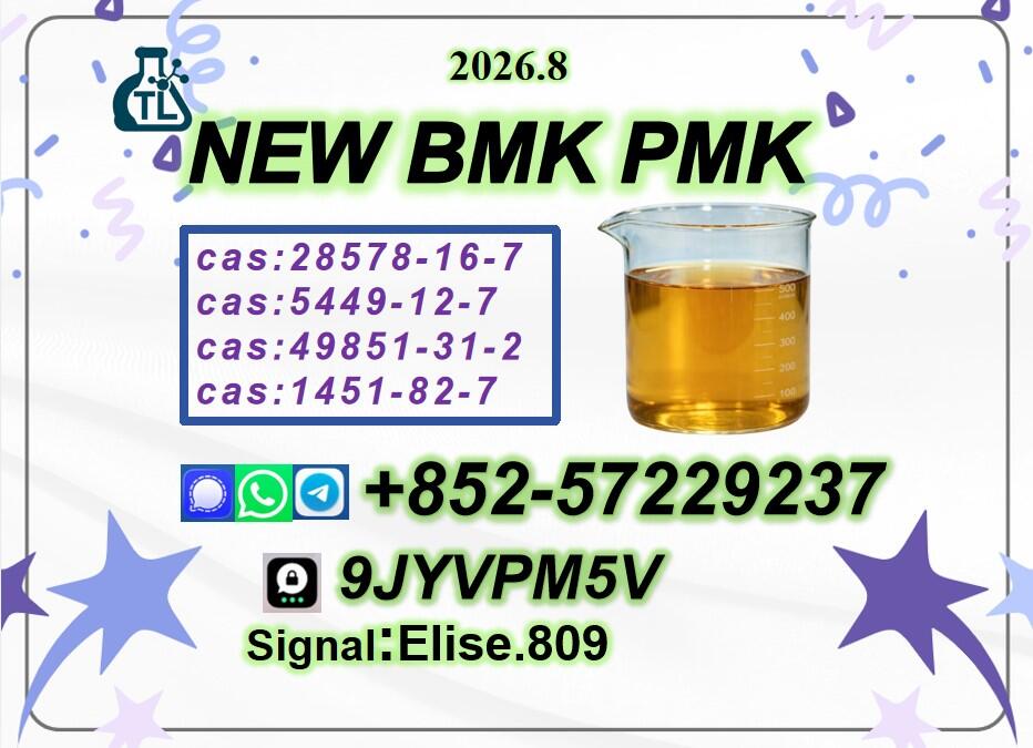 Trusted Supplier High Purity P.MK Oil C.AS 28578-16-7