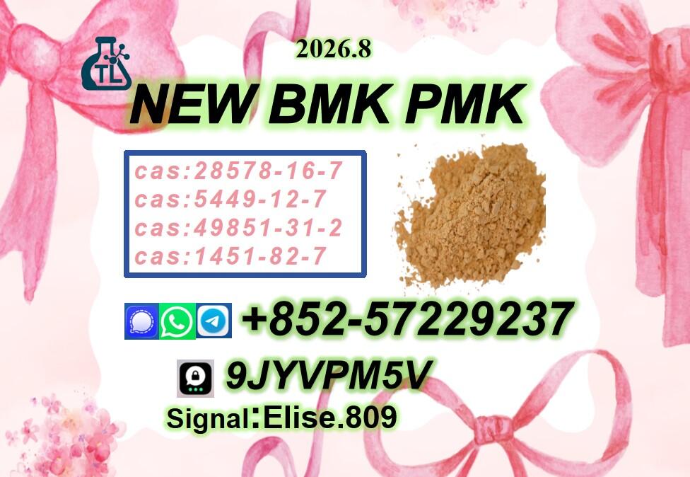 Prompt Shipment P.MK Oil C.AS 28578-16-7