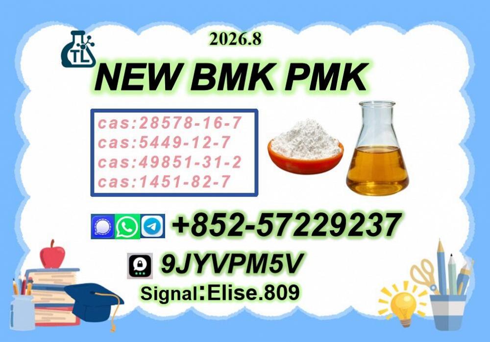 High Demand New Oil PMK Oil C.AS 28578-16-7// Powder B.MK C.AS 5449-12-7
