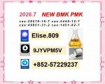 Reliable PMK Oil CAS 28578-16-7 High-Quality Premium Supplier