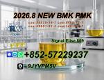 PMK Oil Powder CAS 28578-16-7 | Professional Chemical Trading Service - Раздел: Упаковка оптом, упаковочное оборудование