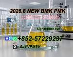 PMK Oil Powder CAS 28578-16-7 | Trusted Chemical Supply Partner