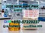 BM.K 5449-12-7 High Purity 28578-16-7 P.MK