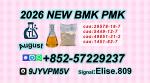 Premium Chemical Raw Materials for Industrial Applications | High Purity 28578-16-7 // 5449-12-7