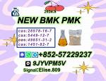 There are Good Quality P.MK Oil Powder C.AS 28578-16-7 & B.MK C.AS 5449-12-7