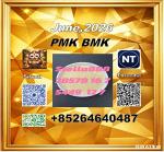 CAS 5449-12-7 BM.K and cas 28578-16-7 PM.K /New iterms in stock