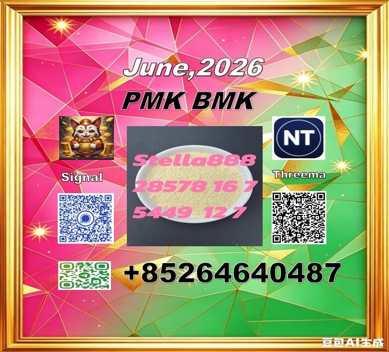 Top quality cas 28578-16-7 P-MK and cas 5449-12-7 BM-K/49851-31-2