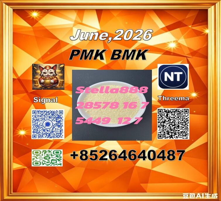 Good quality cas 28578-16-7 PM.K and cas 5449-12-7 BM.K /49851-31-2