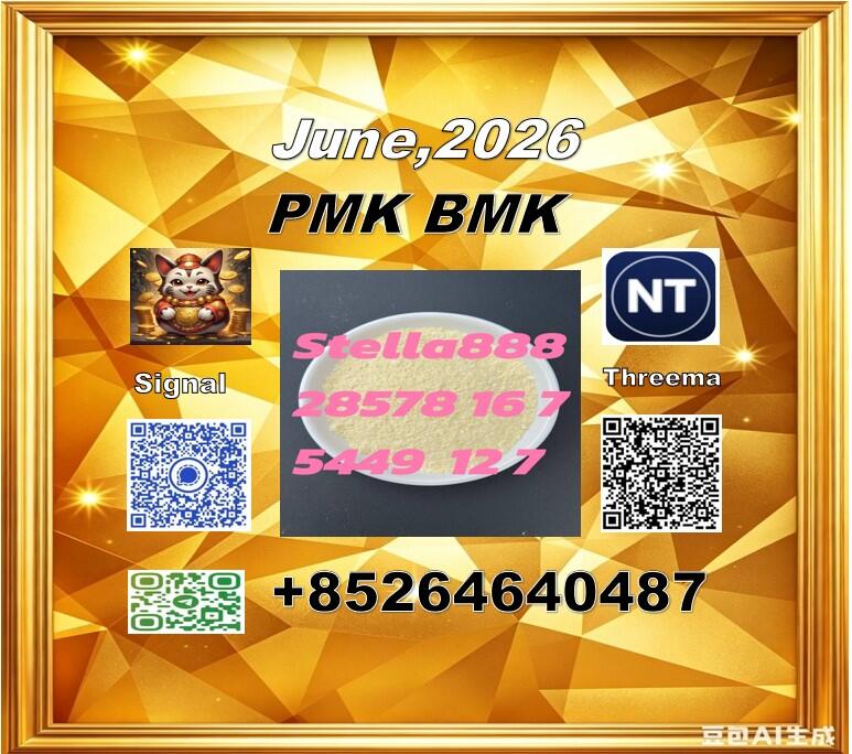 CAS 28578-16-7/Quality consistency BMK/ CAS 5449-12-7/