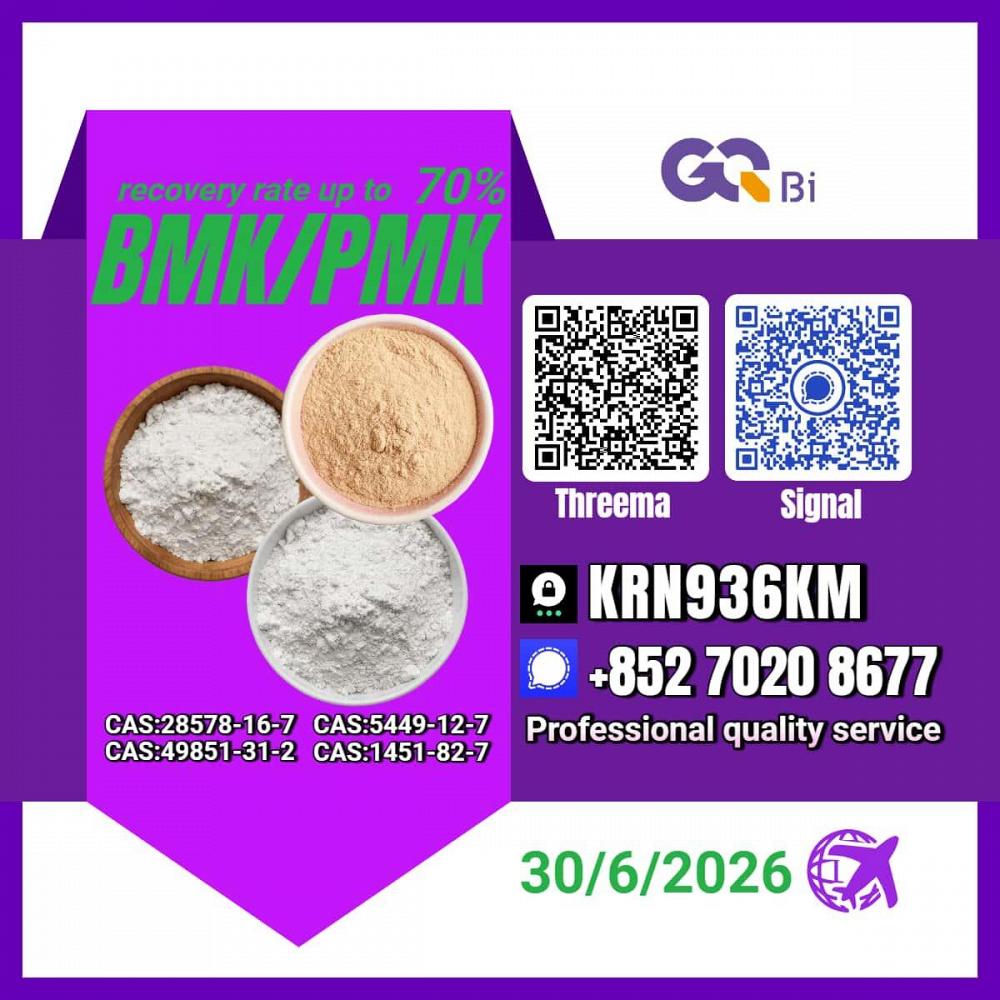 Sell PM.K/ CAS:28578-16-7/Cost Efficient BM.K/5449-12-7