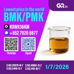 Sell New BM.K/ CAS:28578-16-7/ PM.K/5449-12-7 / Worldwide Export