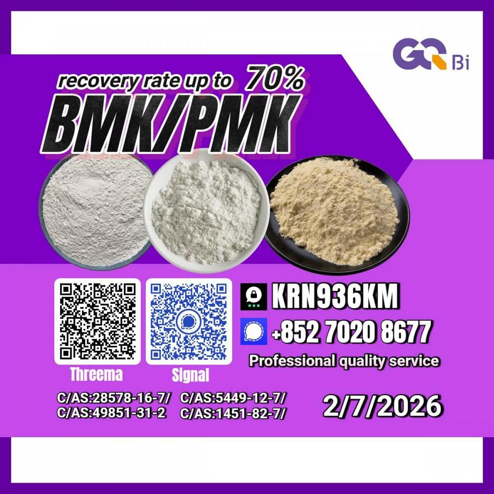 Trade Excellence New PM.K 28578-16-7/ BM.K CAS:5449-12-7/