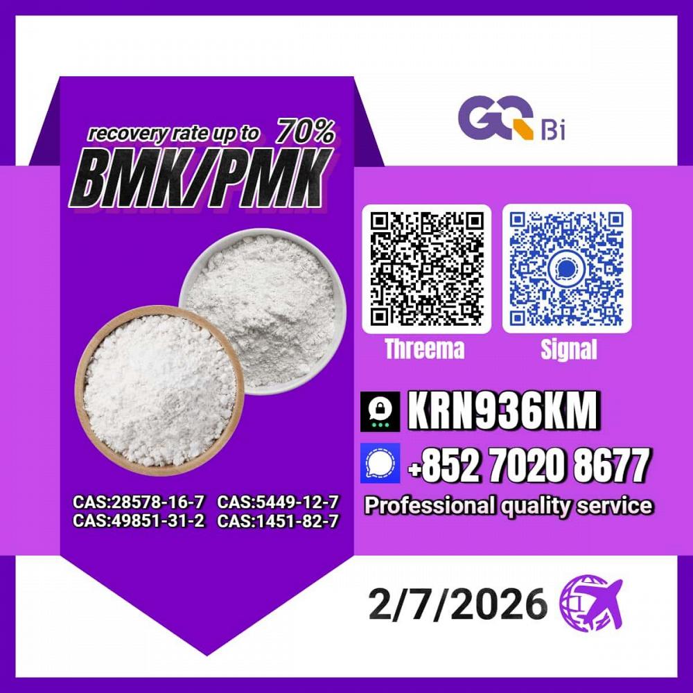 New PM.K 28578-16-7/ BM.K CAS:5449-12-7/ Business Expansion