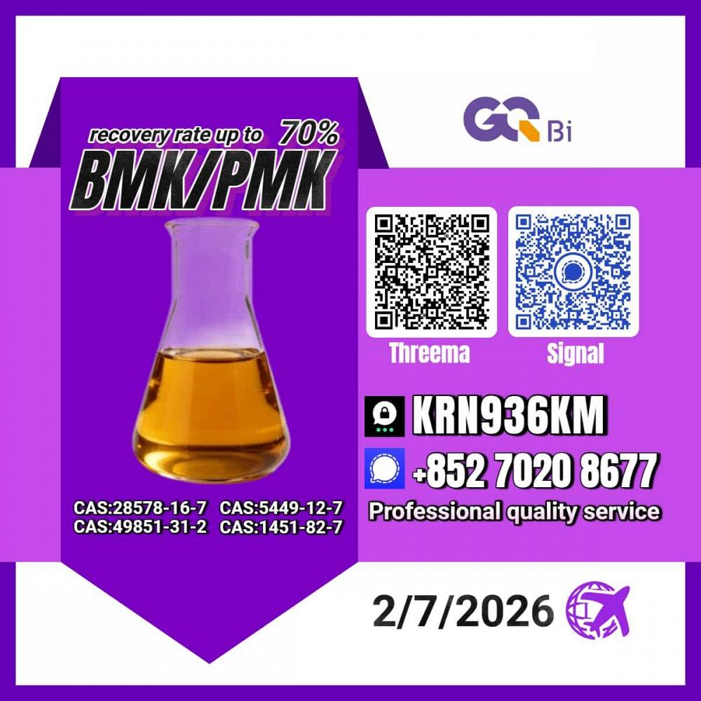 New PM.K 28578-16-7/ BM.K CAS:5449-12-7/ Industry Expertise