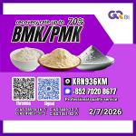 Global Distribution New PM.K 28578-16-7/ BM.K CAS:5449-12-7/