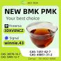 PMK CAS 28578-16-7 Chemical Supplier