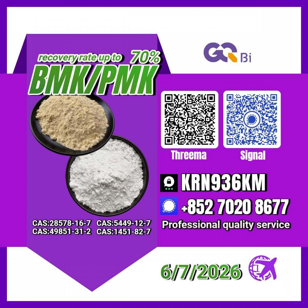 Premium Chemical Provider New PM.K 28578-16-7/ BM.K CAS:5449-12-7/