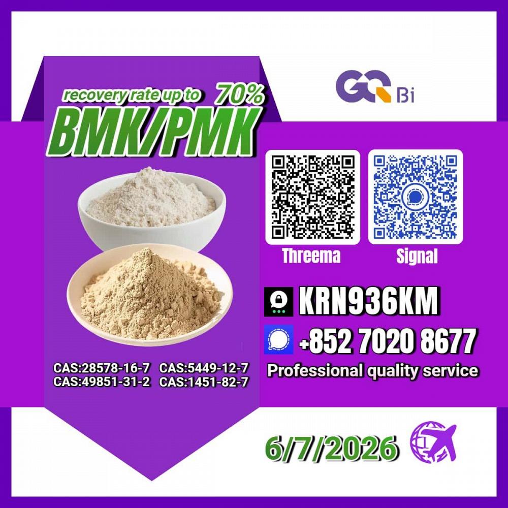 Trusted Chemical Exporter New PM.K 28578-16-7/ BM.K CAS:5449-12-7/