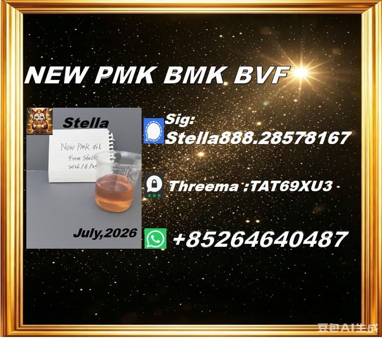 New PM.K 28578-16-7/ BM.K CAS:5449-12-7/ Industry Expertise