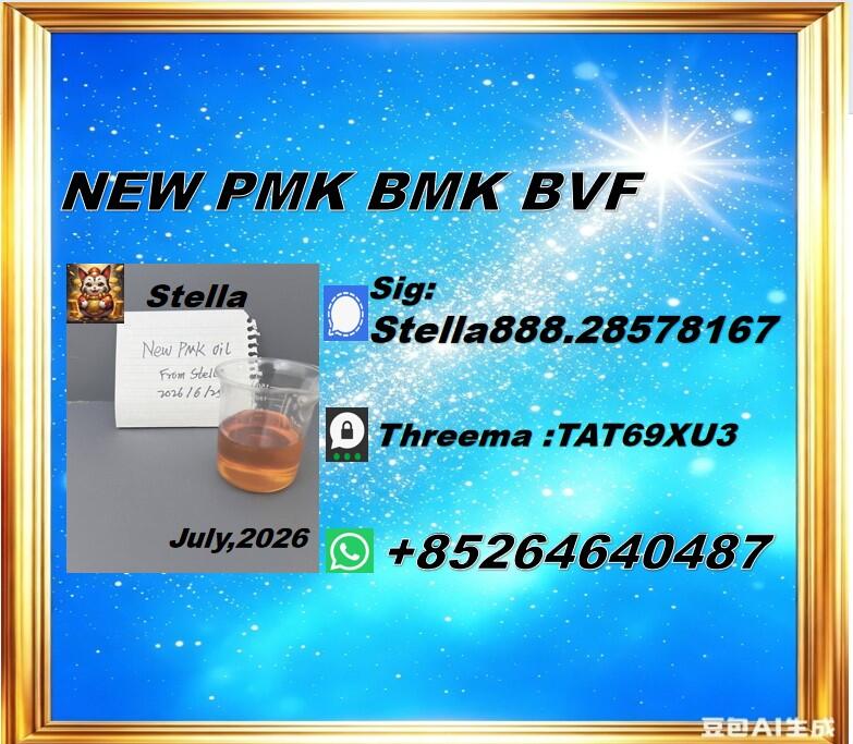 New PM.K 28578-16-7/ BM.K CAS:5449-12-7/ Industry Expertise