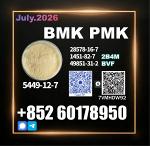 New BMK CAS 5449-12-7,1451-82-7 Trusted Source