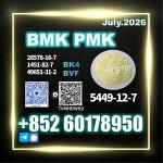New BMK PMK CAS 5449-12-7 Long-term Vendor
