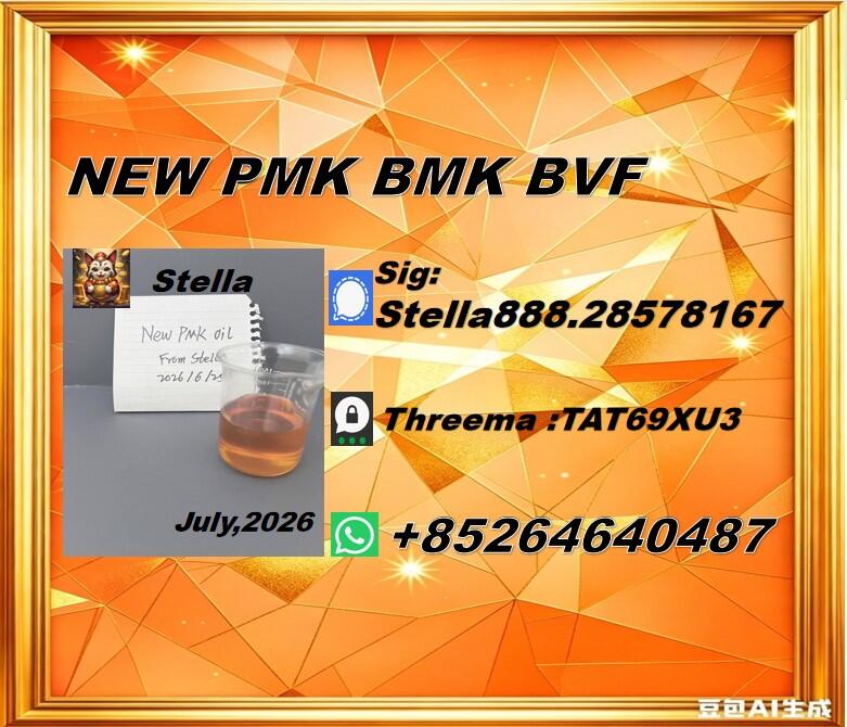 Premium Chemical Provider New PM.K cas28578-16-7/ BM.K CAS:5449-12-7/ 