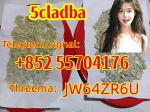 5cl adb Powder Supplier 5cl Adb 5cladba In Stock - Раздел: Транспорт