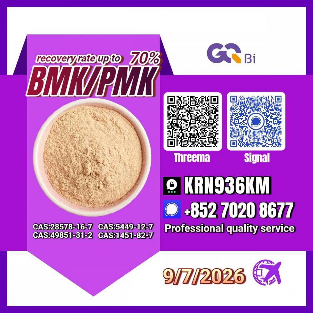 New PM.K 28578-16-7/ BM.K CAS:5449-12-7/ Industrial chemicals
